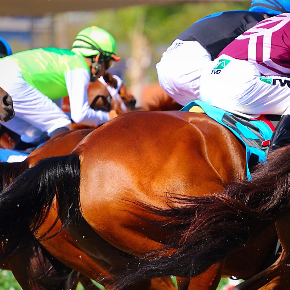 Del Mar Thoroughbred Horse Racing Season Opens Thursday, July 16 The